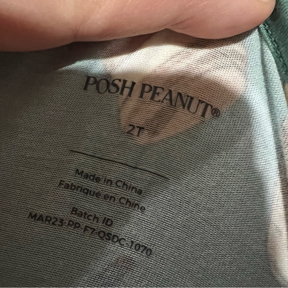 Posh Peanut Morning Brew Dress Starbucks Coffee Style 2T - Picture 8 of 8